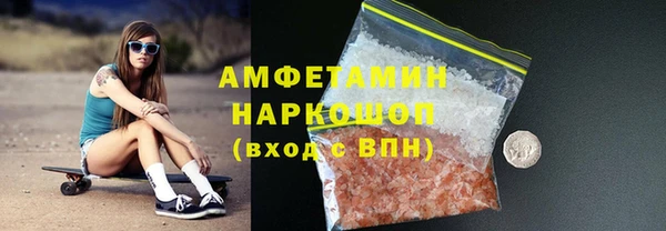 стаф Алзамай